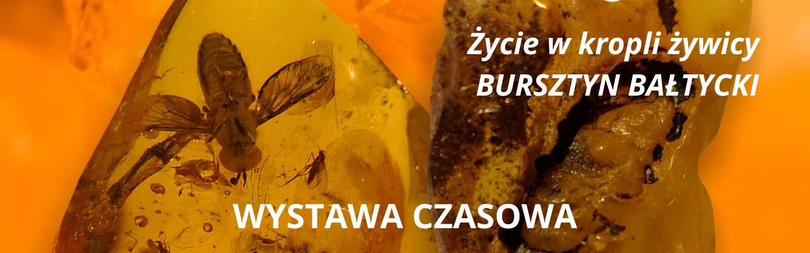 BURSZTYN BAŁTYCKI WYSTAWA CZASOWA